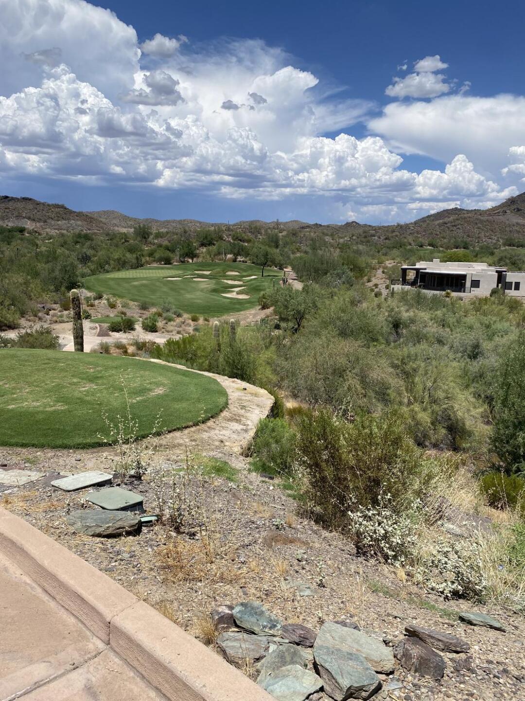 (Photo submitted by u314162492606 on 08/05/2024)