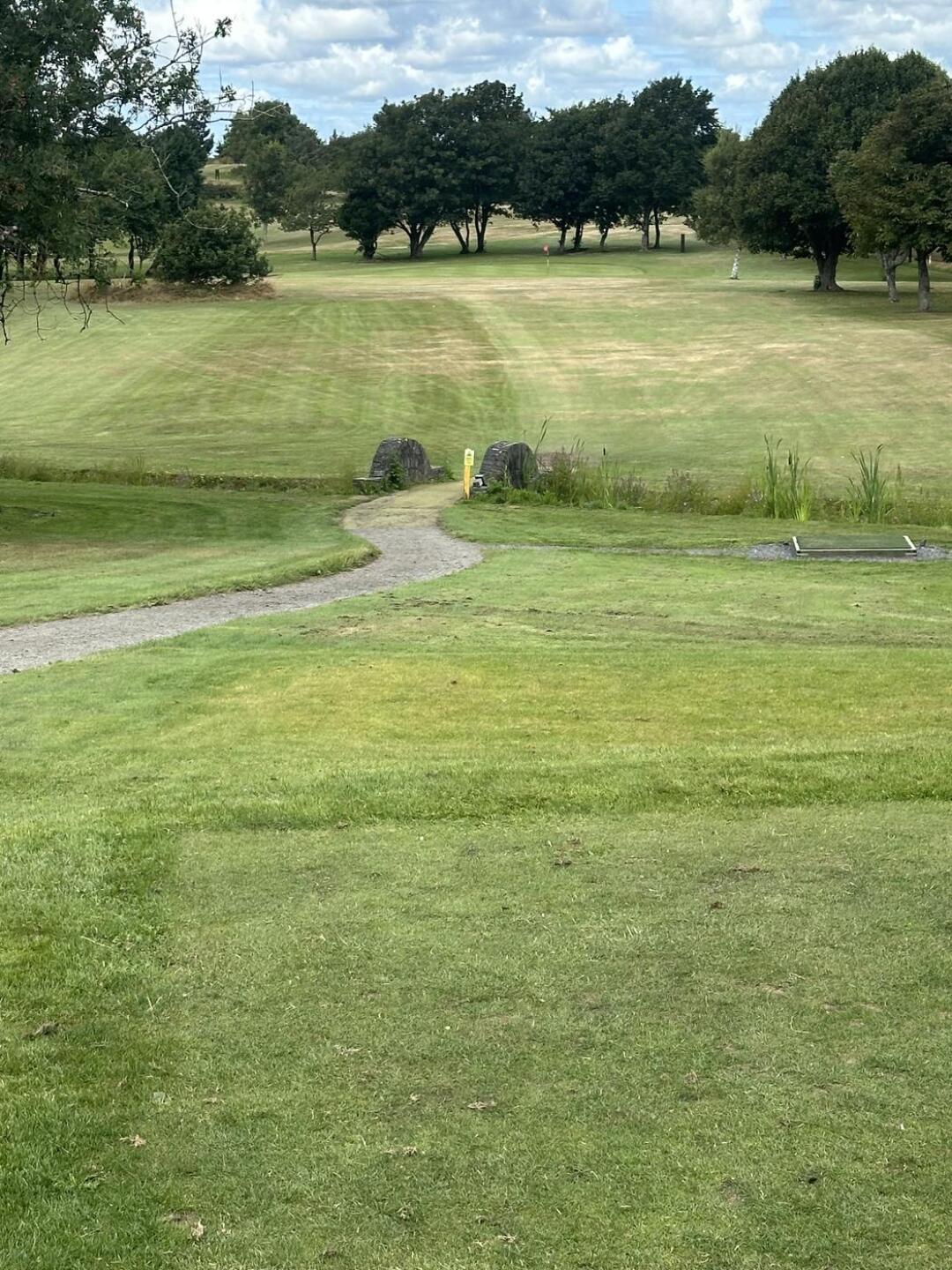 (Photo submitted by ZKY9PWT54mEddKKfDKVh on 08/01/2025)