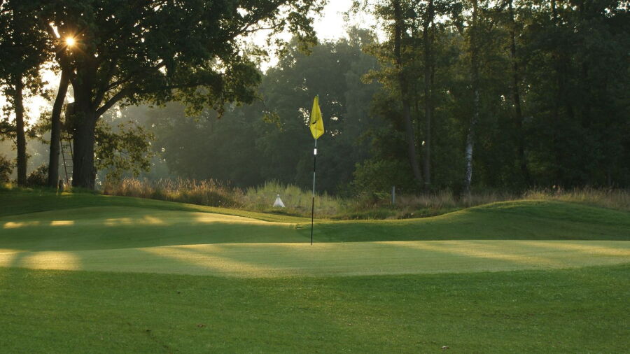 Weleveld Golf Park: #8