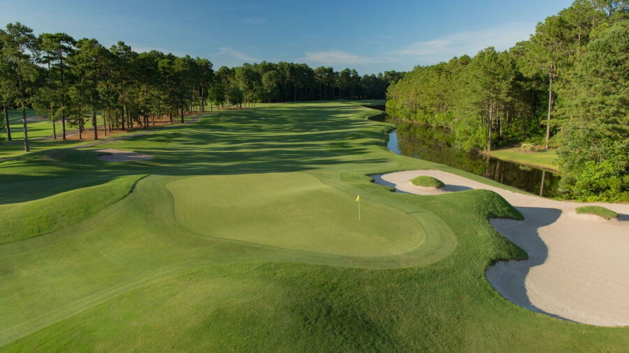 Wild Wing Plantation - Avocet: #18