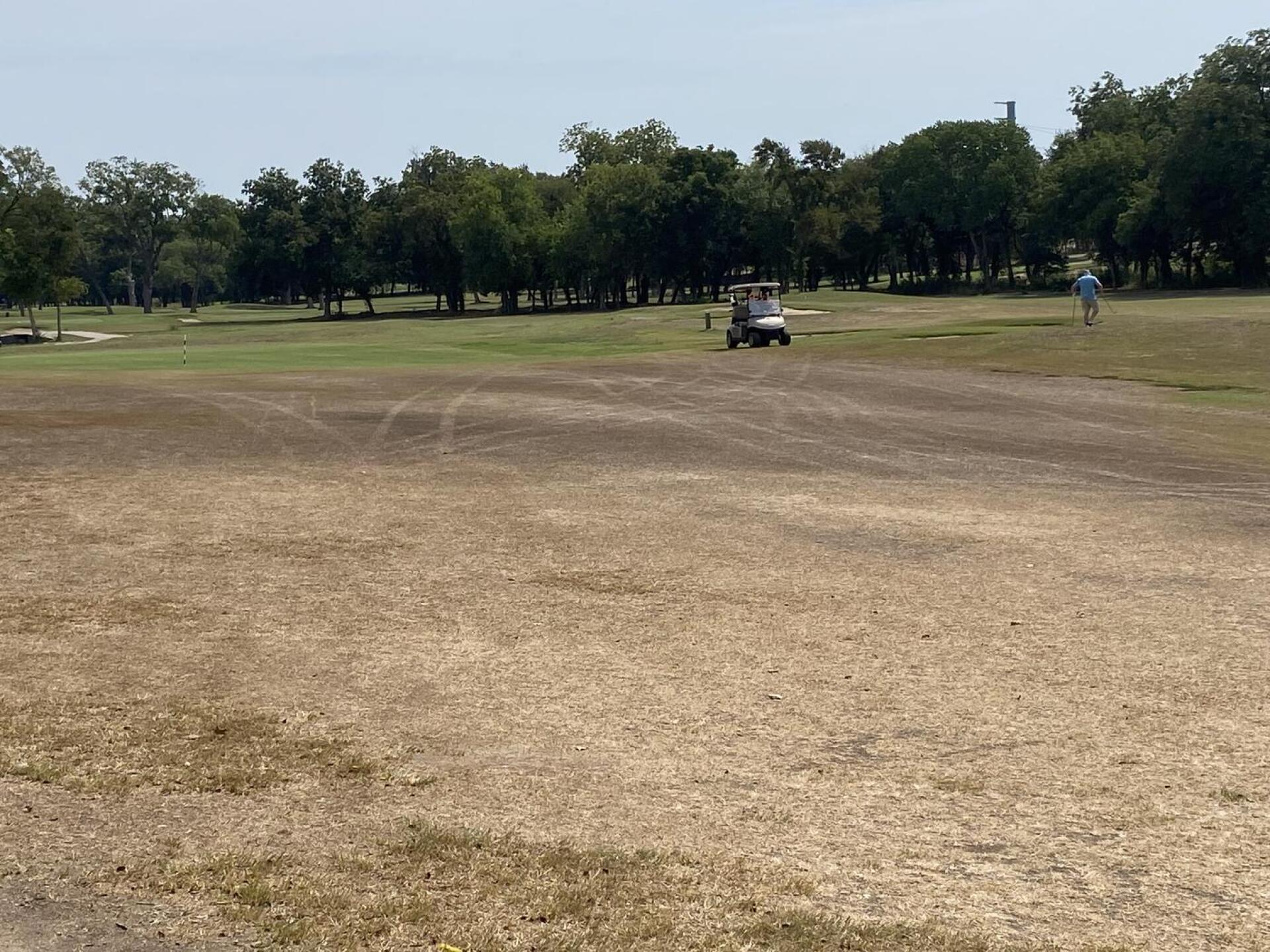 Typical fairway (Photo submitted by u000003577134 on 09/19/2023)