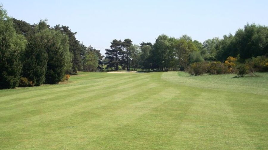 Woodbridge GC - Forest