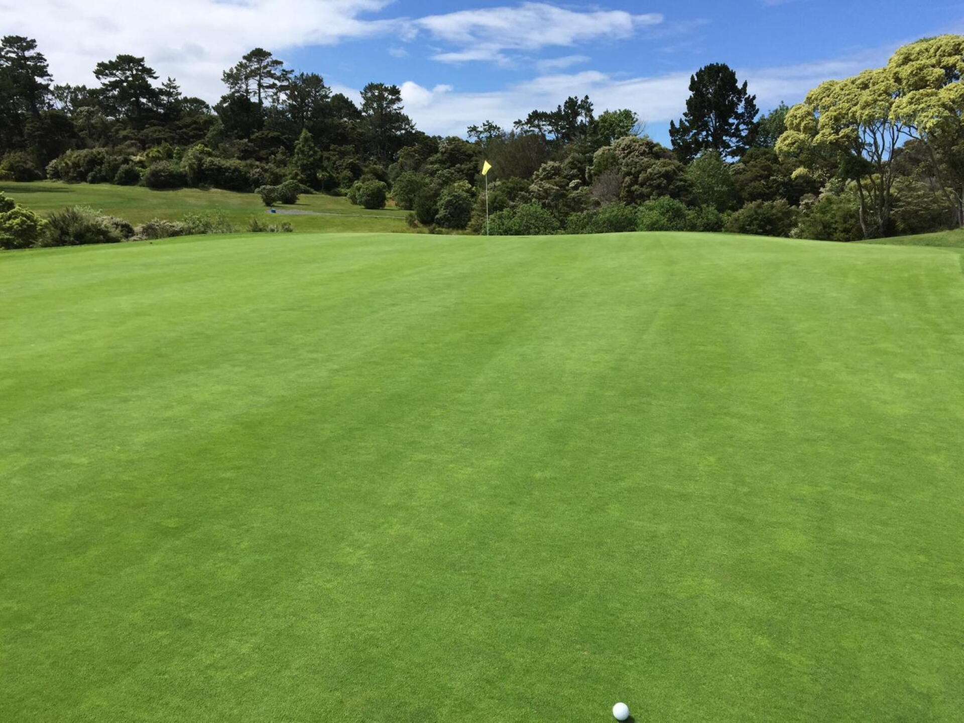 Thought I was going to putt off the 11th green (Photo submitted by GolfGuy7745 on 12/08/2015)