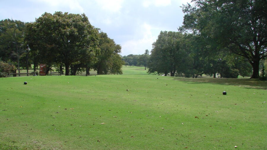 Wright Park GC: #5