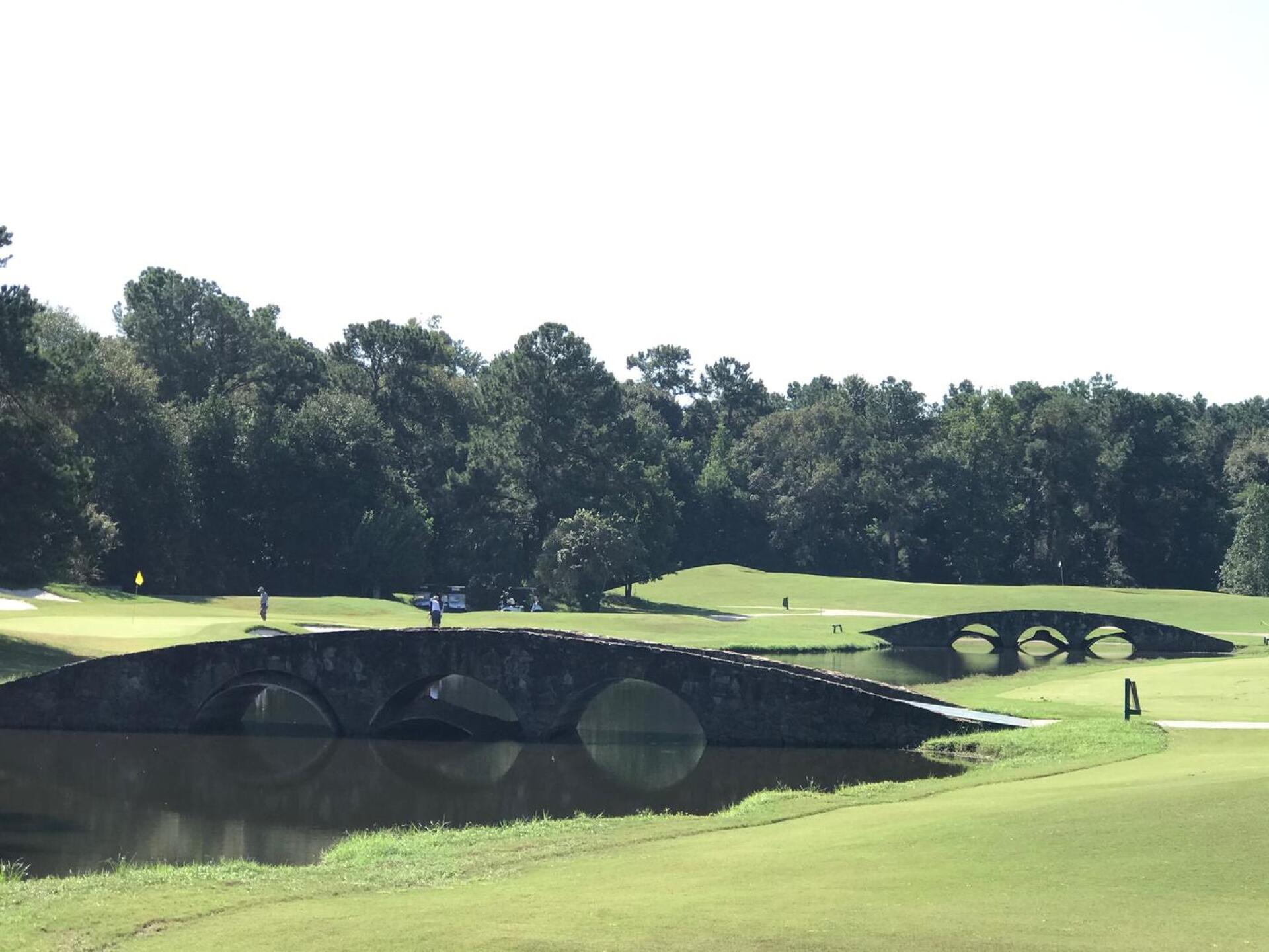 Augusta holes (Photo submitted by u000004660121 on 09/23/2020)