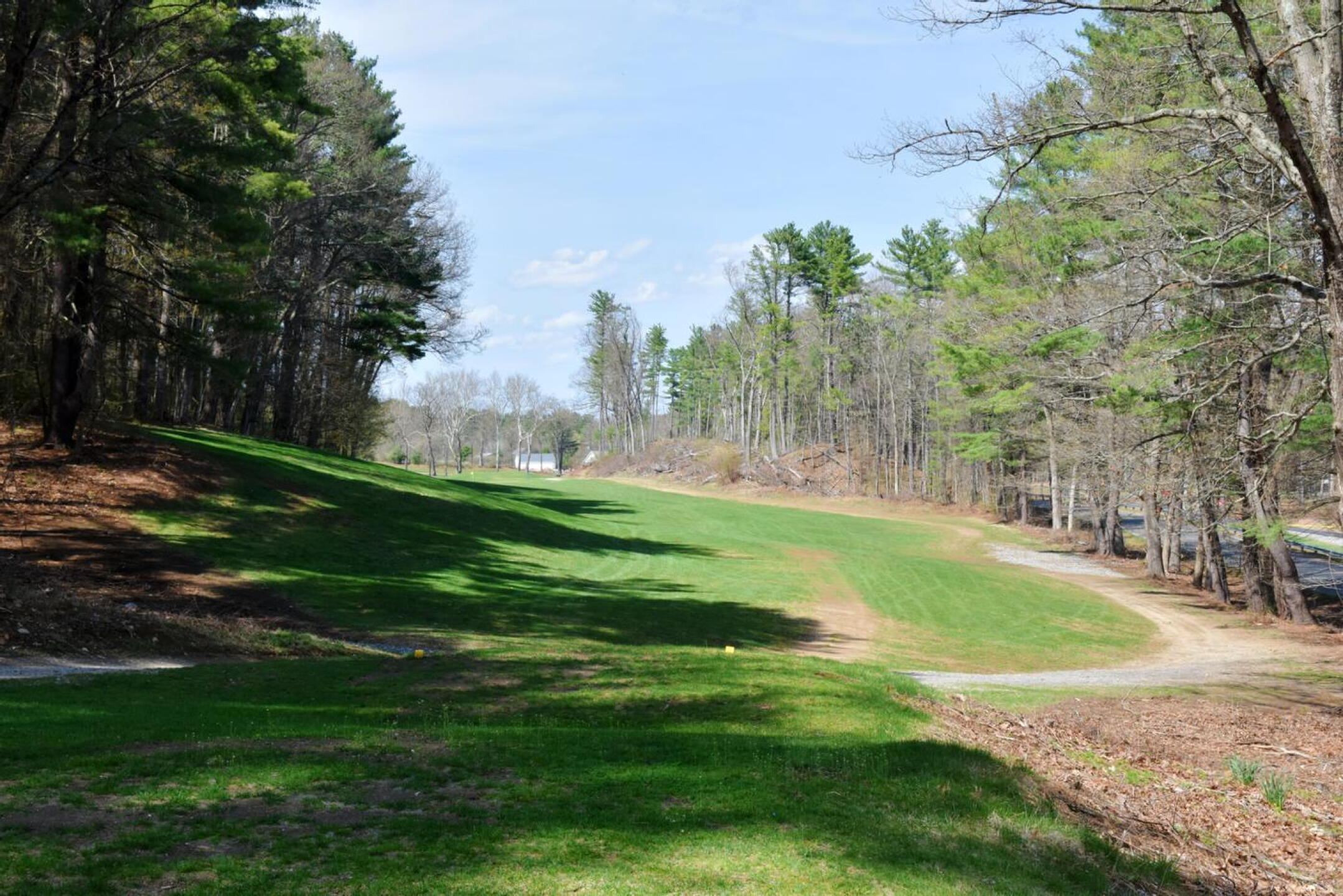 The 385-yard eighth can be an exhilarating par. The hole favors a draw off the tee, with the approach playing into a punchbowl green. (Photo submitted by AptlyLinked on 04/19/2026)