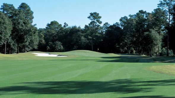 Magnolia at TimberCreek GC: #7