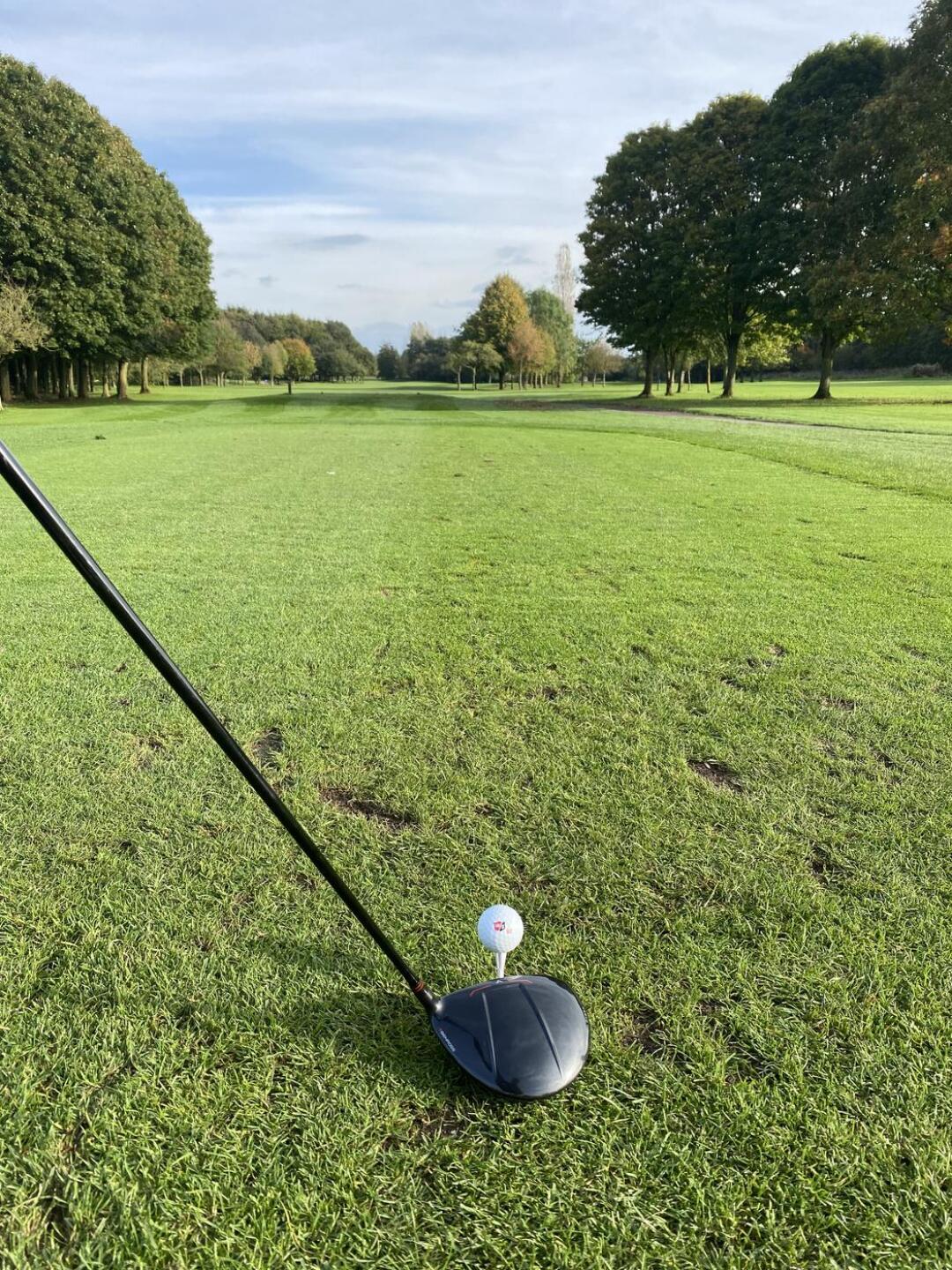 (Photo submitted by skillman44 on 10/14/2023)