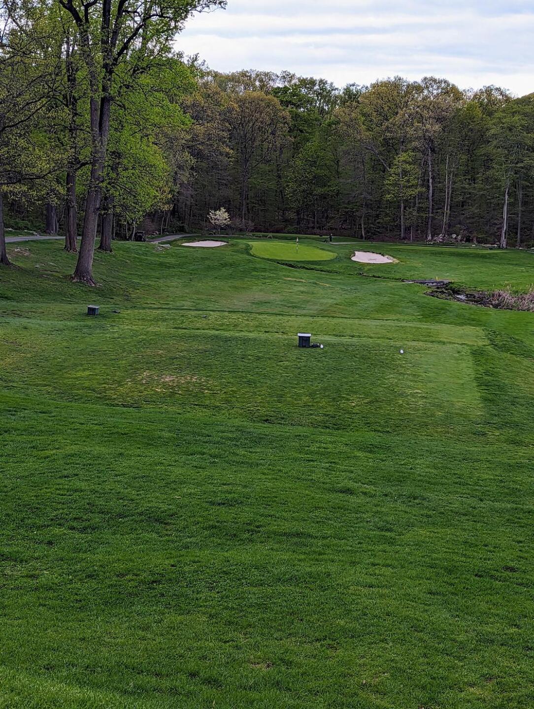 (Photo submitted by synergy91476 on 04/25/2023)