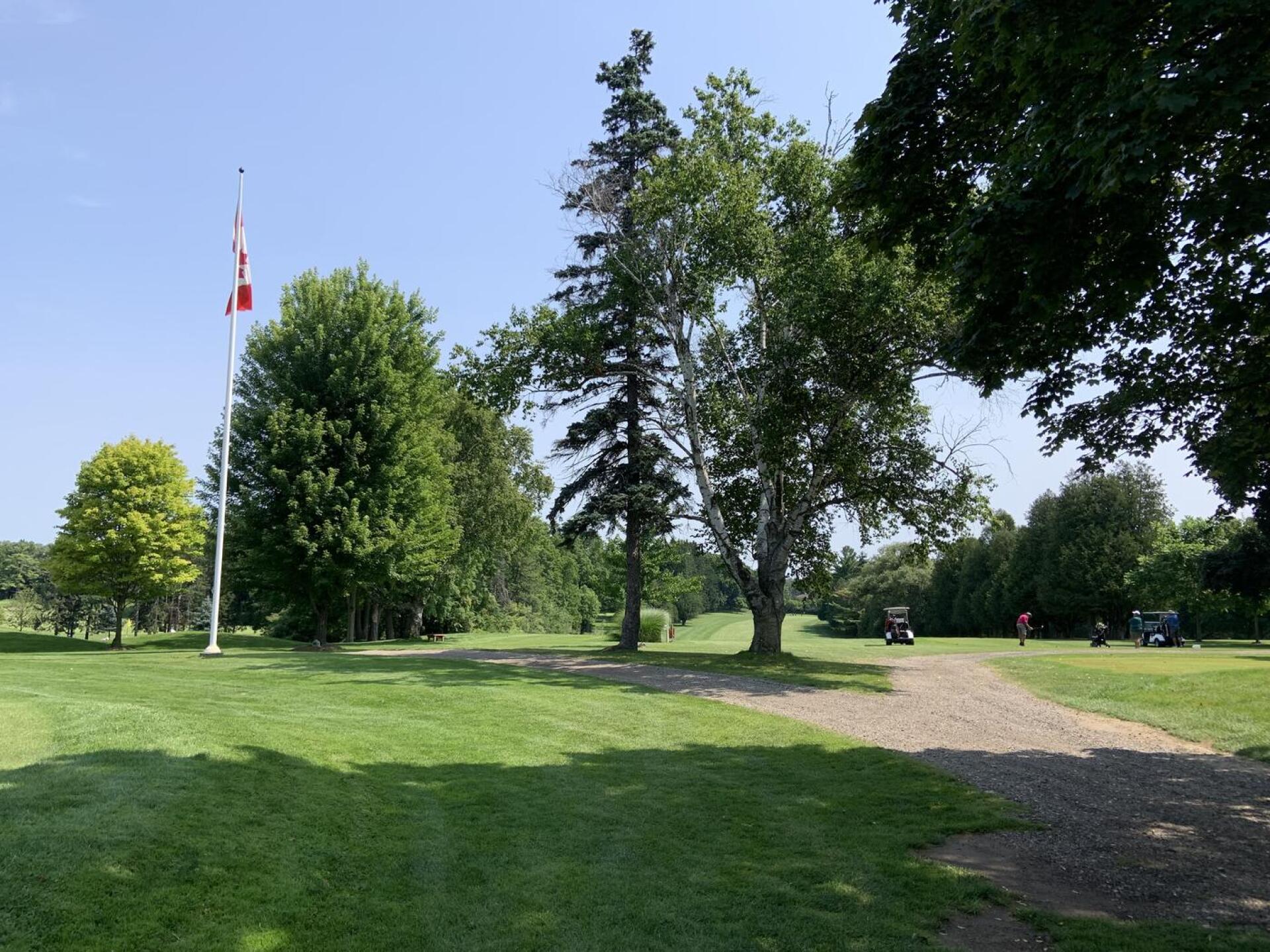 (Photo submitted by Dacktari1966 on 07/27/2024)