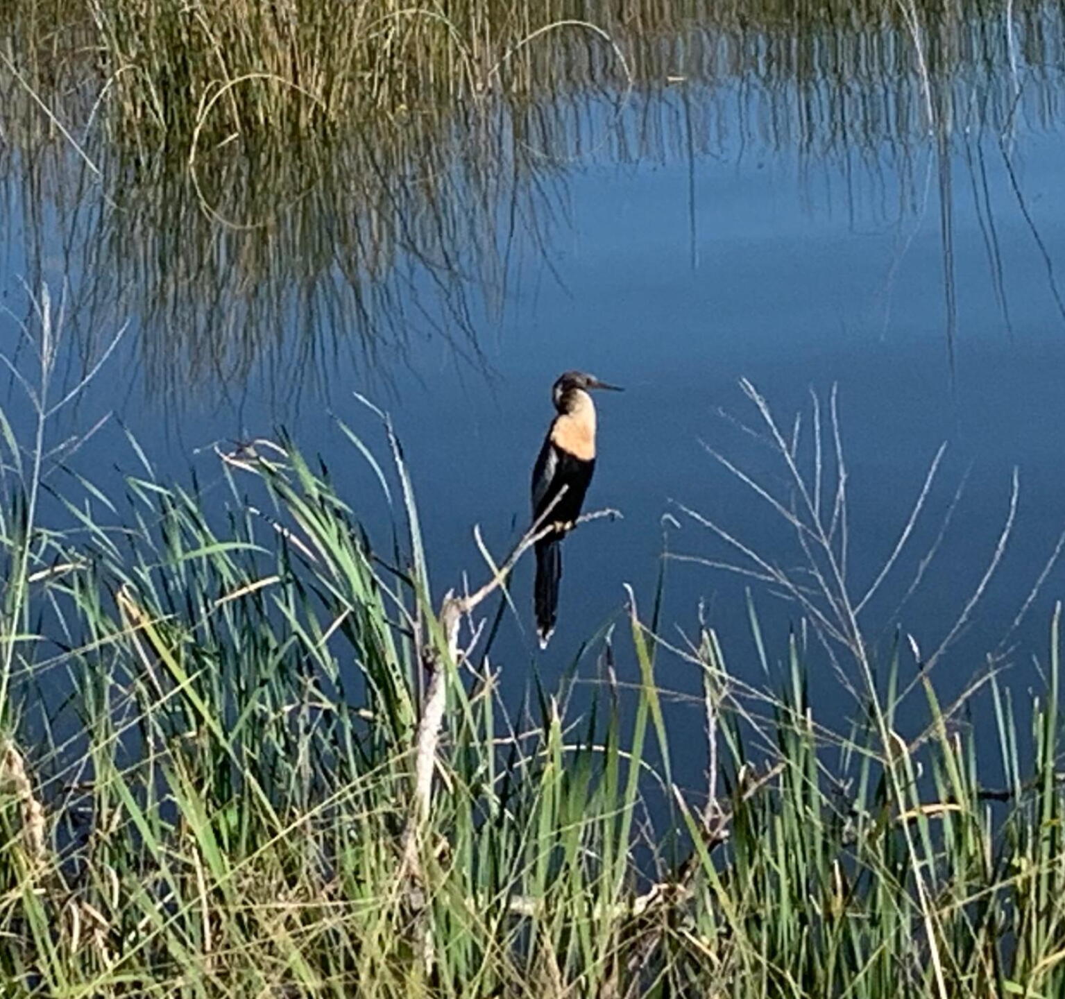 (Photo submitted by u765053211 on 11/13/2019)