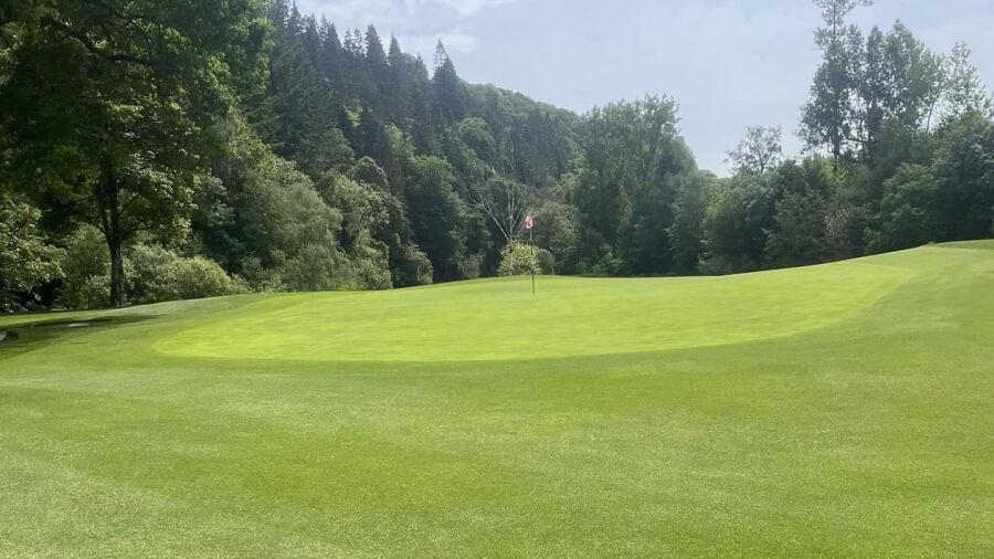 Woodenbridge GC