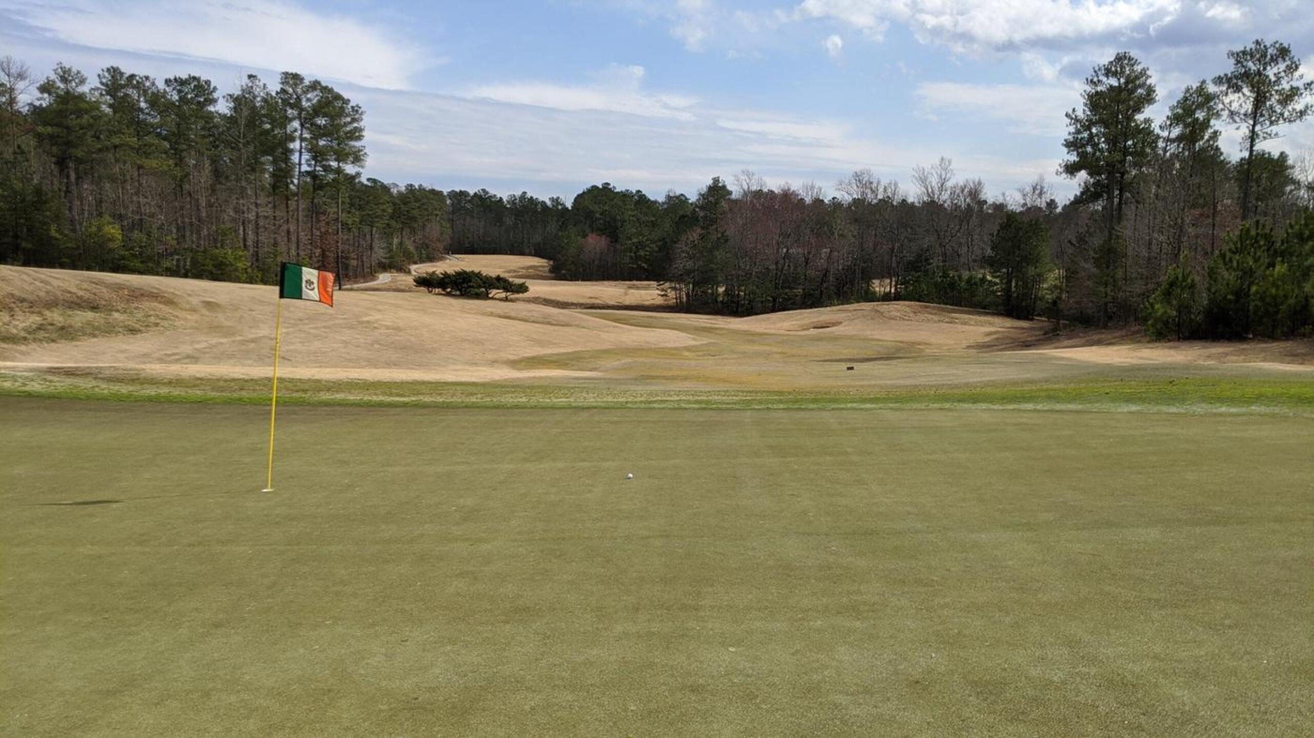 Finally made par on the par-4 11th. Only took 6 tries! (Photo submitted by Back9Ben on 03/11/2020)