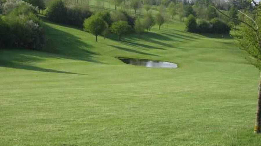 Forrest Hills: Fairway view