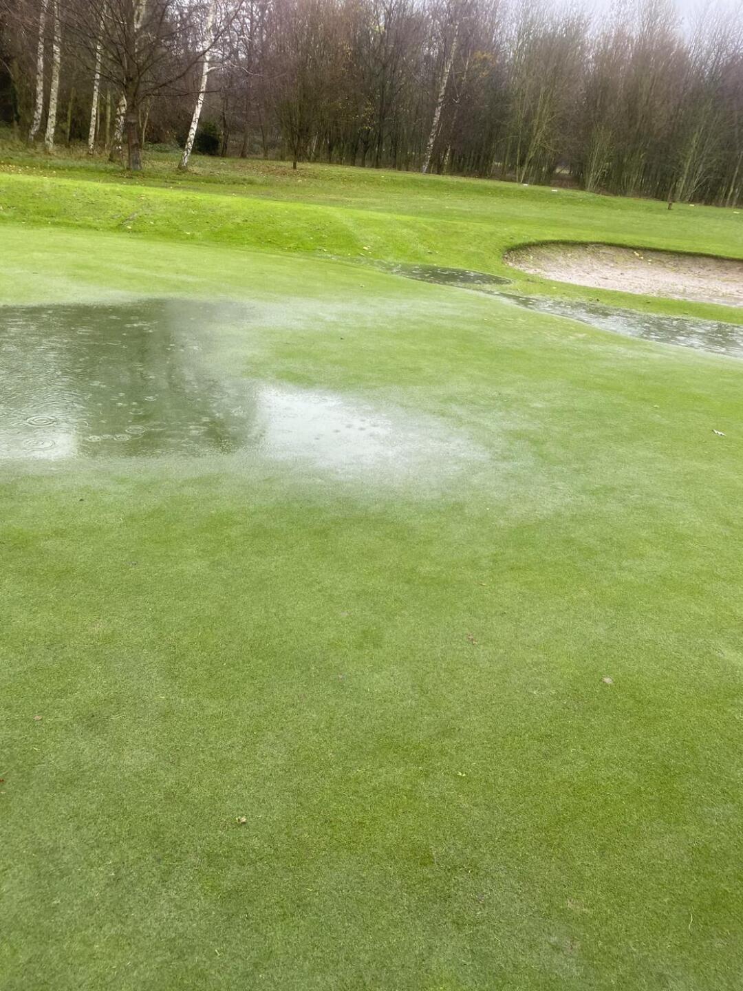 (Photo submitted by u3861278 on 12/11/2020)