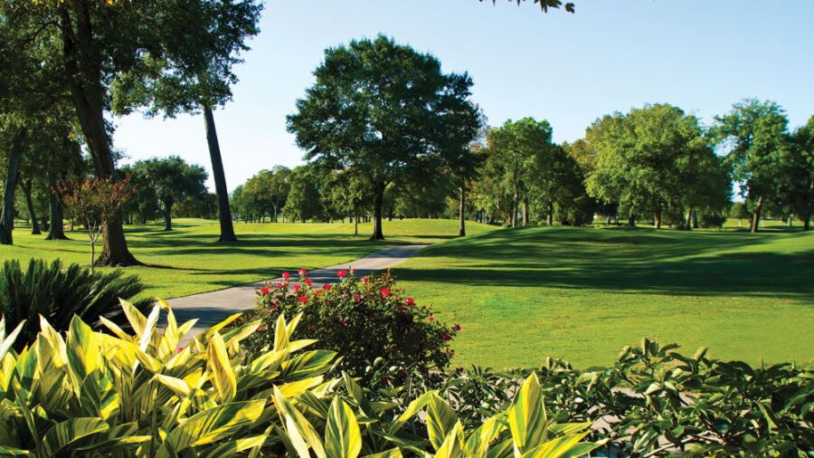 Pine Forest CC