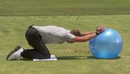 Chicken Wing – Olympic Fitness