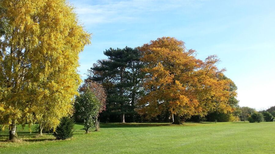 Ruddington Grange GC: #11