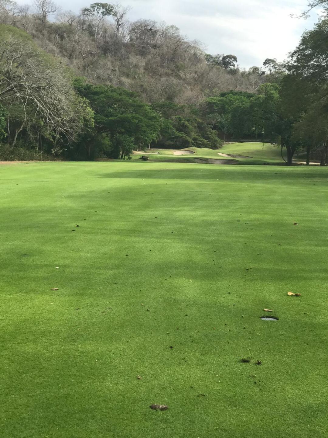 Fairway view (Photo submitted by Cowboy14 on 05/17/2017)