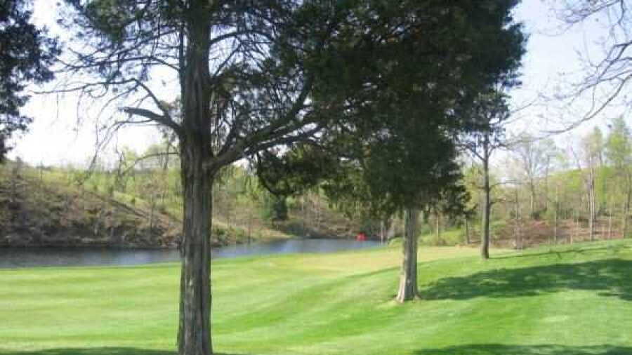 Sly Fox GC: #13