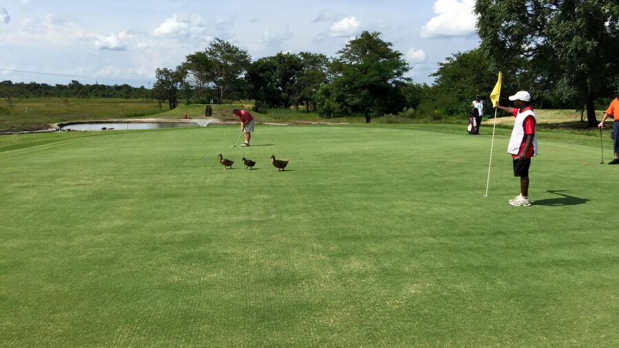 Nkana GC