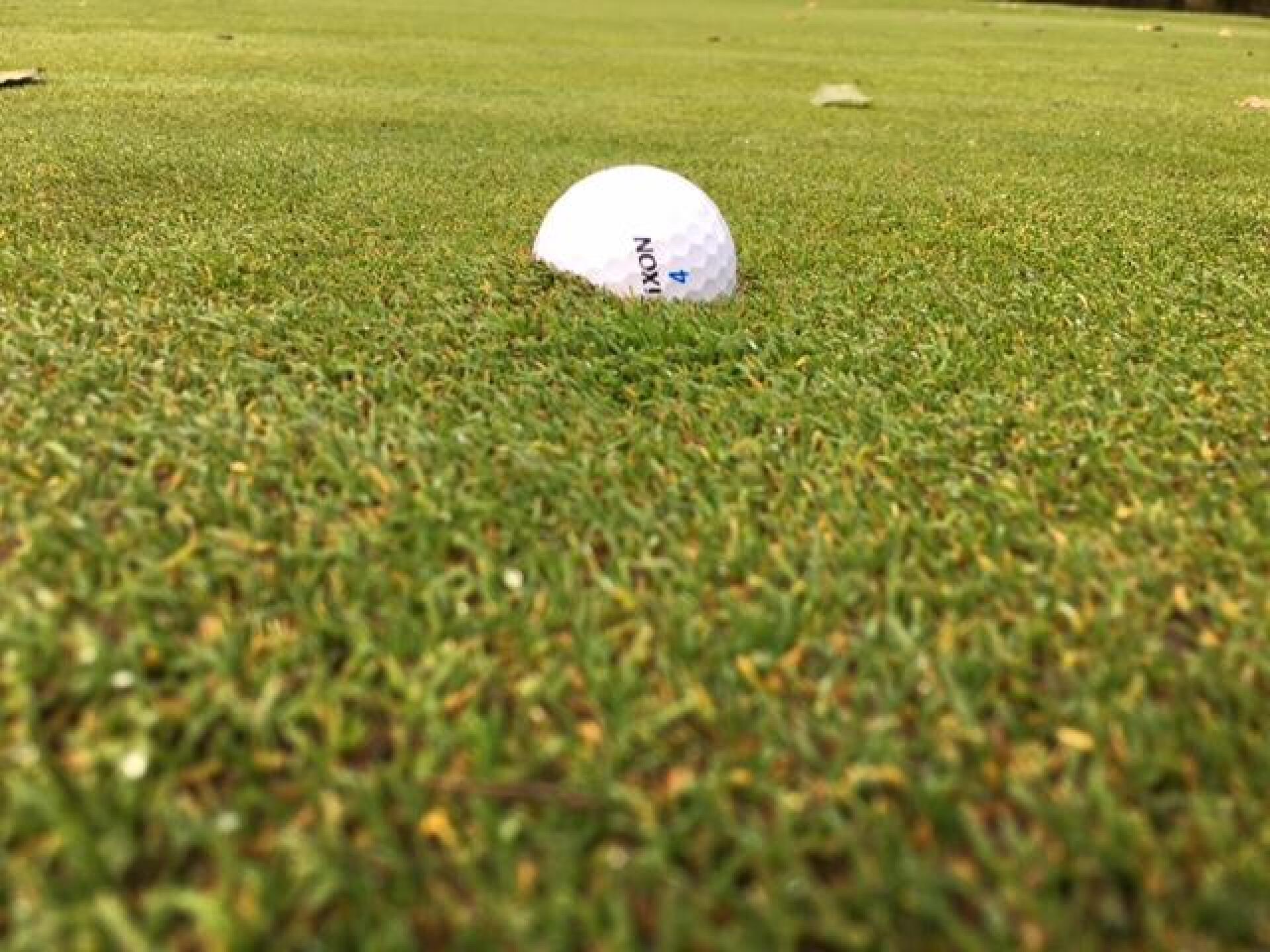 it's wet today ^_^ (Photo submitted by u8620379 on 11/17/2016)