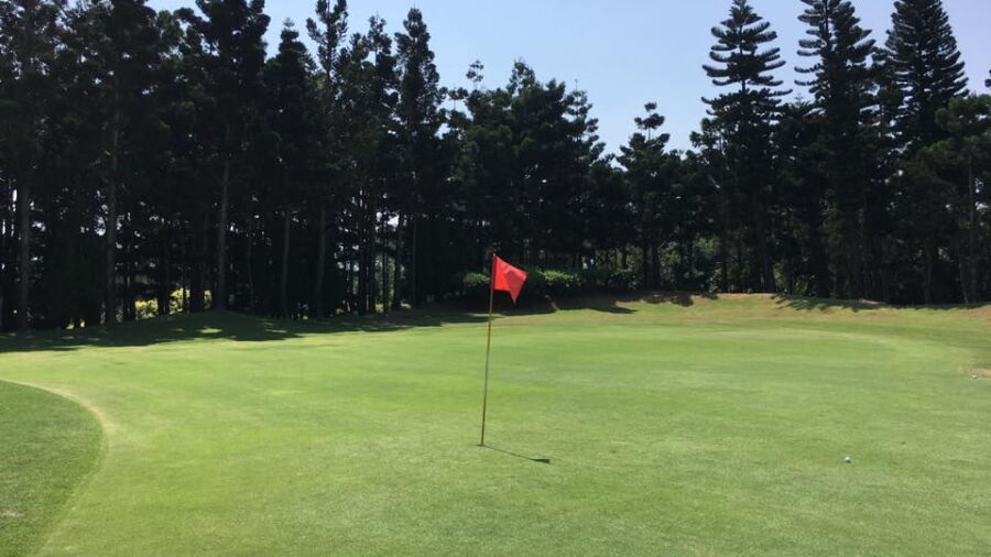 The Eagle GC