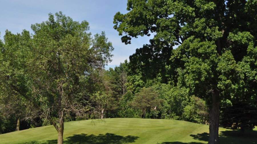 Willard GC: #4