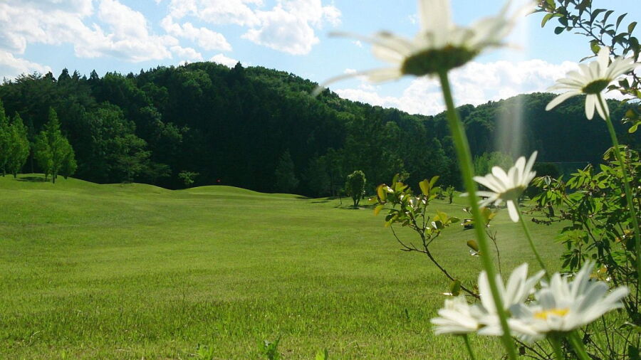 Eight Golf Garden