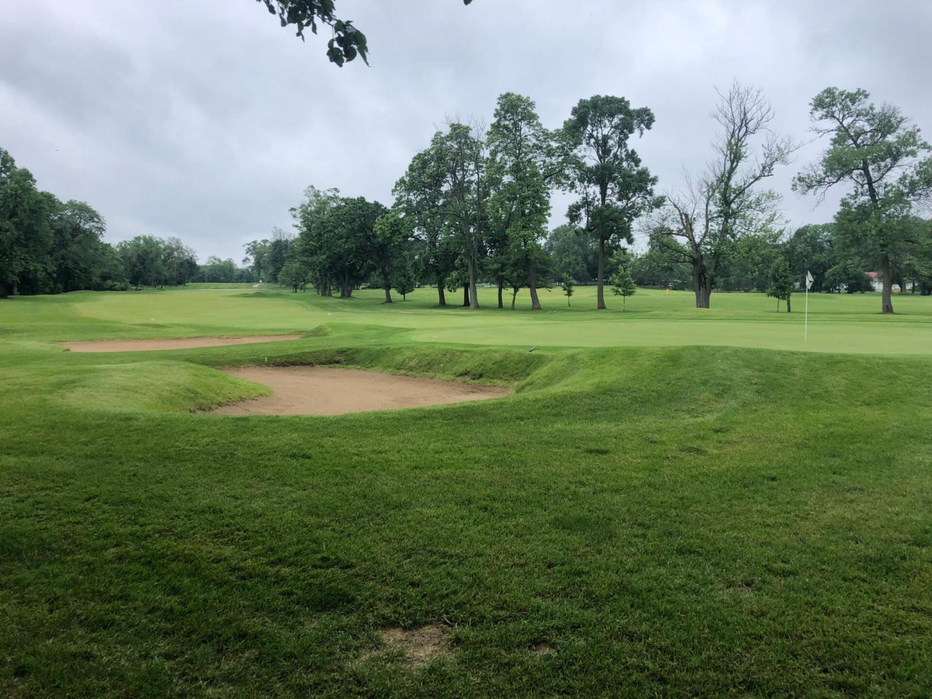 (Photo submitted by BryanTweed16 on 06/17/2019)