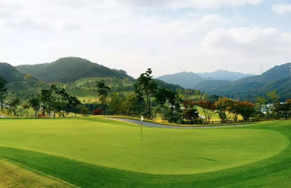 Golf Zone County Anseong Q - Pampas/Valley