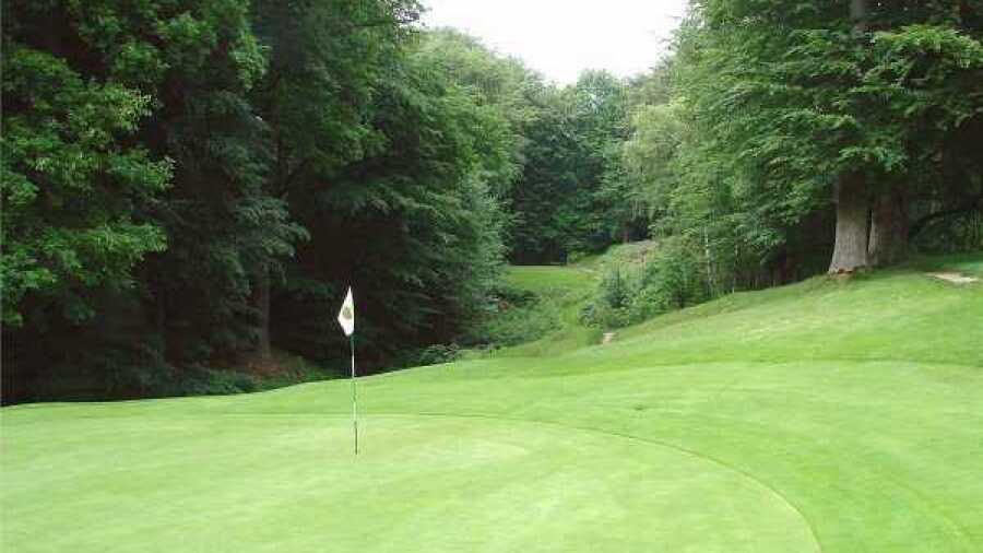 Wentorf Reinbeker GC: #8