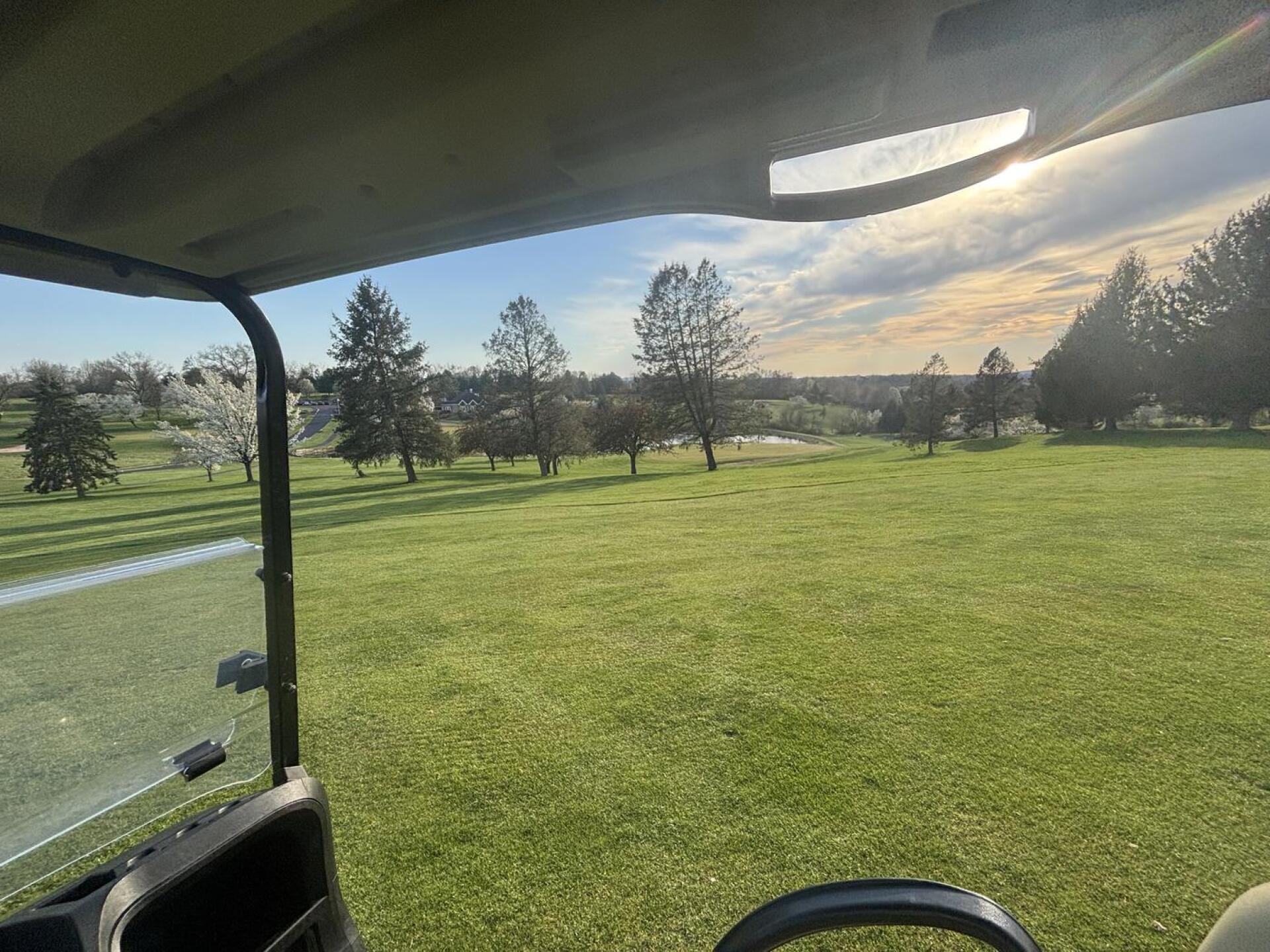 (Photo submitted by tmcgreevy1 on 04/14/2026)