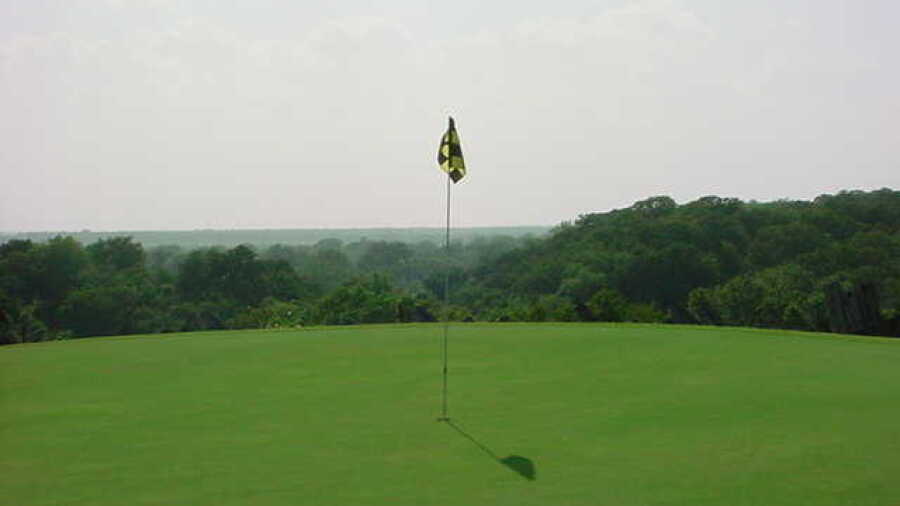 Pine Forest GC: #11