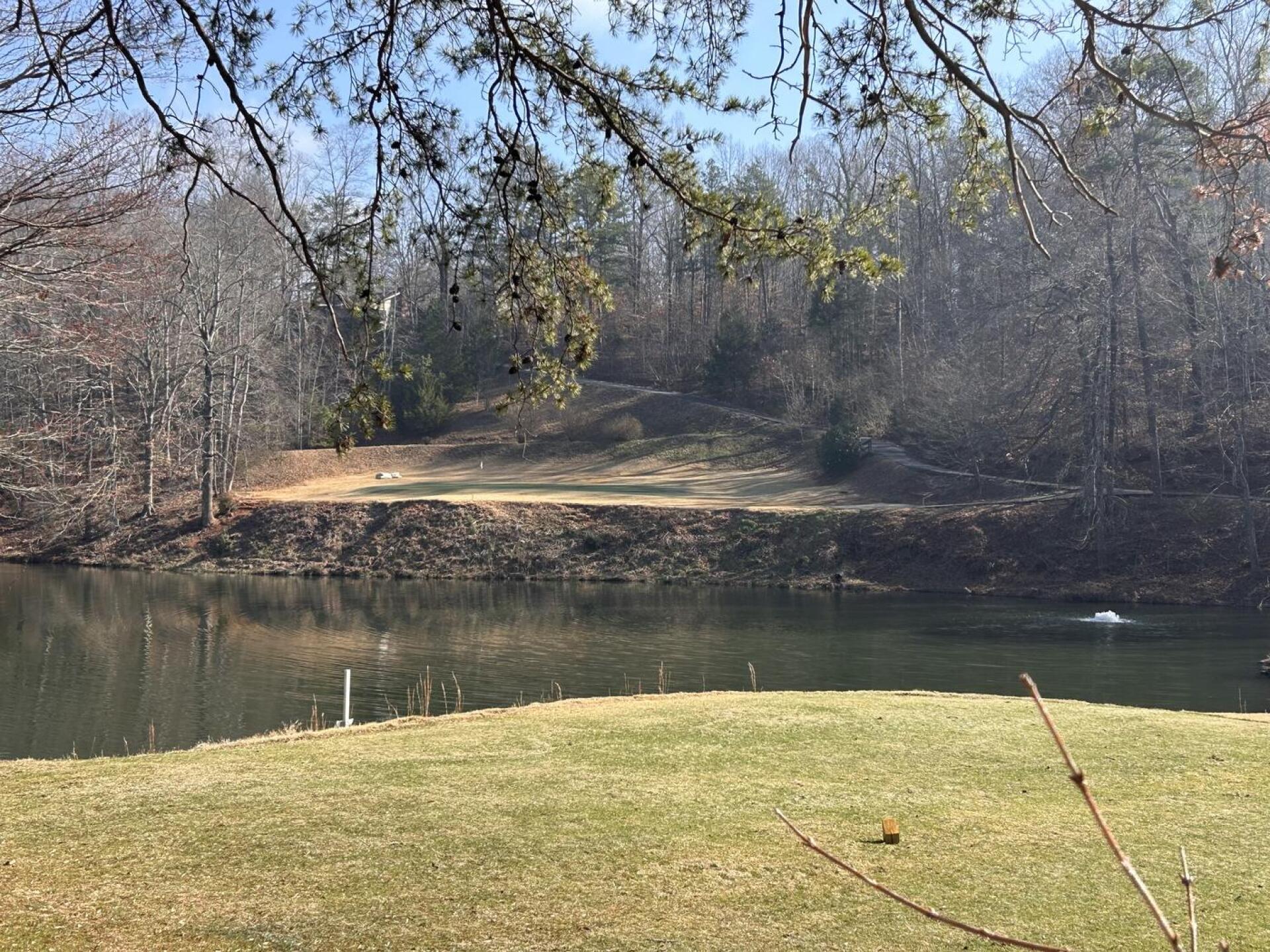 Hole 8, par 3 (Photo submitted by u314159877652 on 01/05/2026)