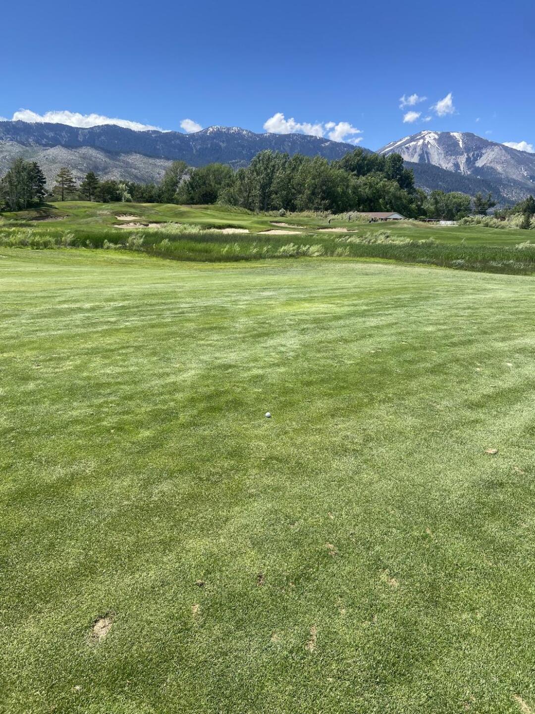 (Photo submitted by Mort1969 on 06/19/2023)