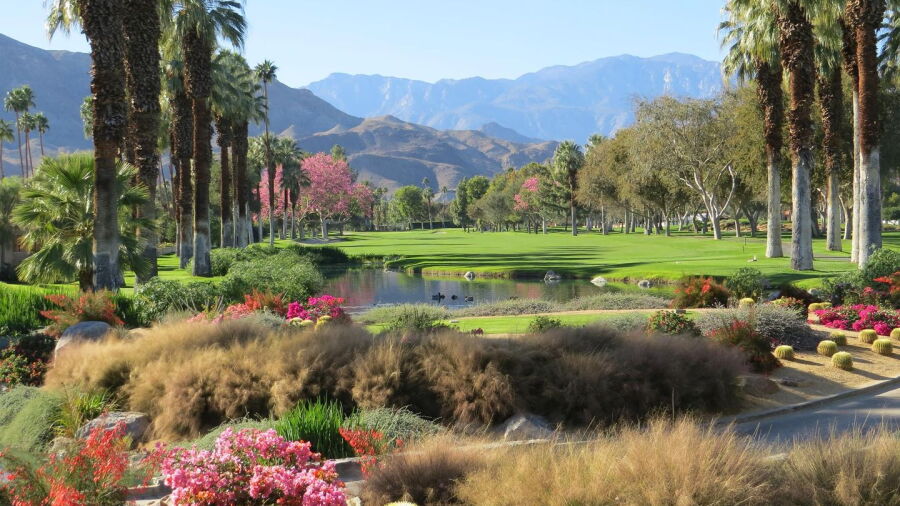 Thunderbird CC
