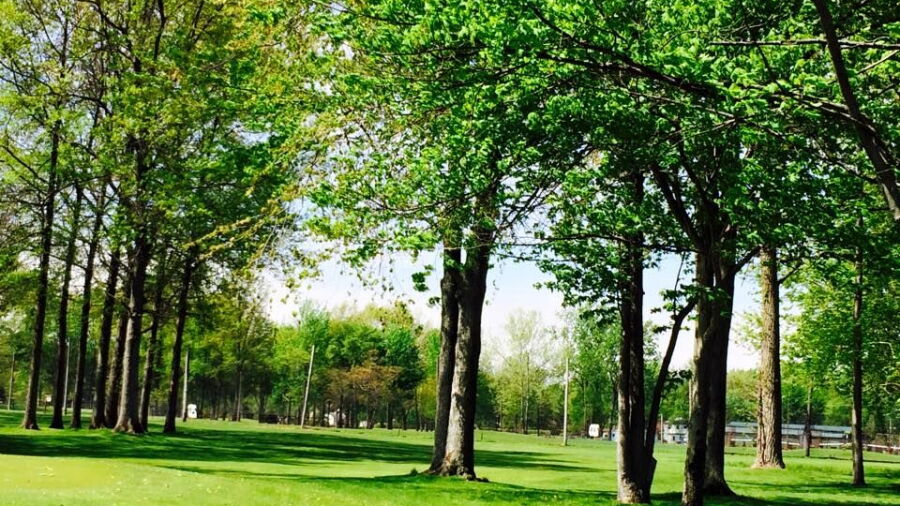 Maple Grove GC