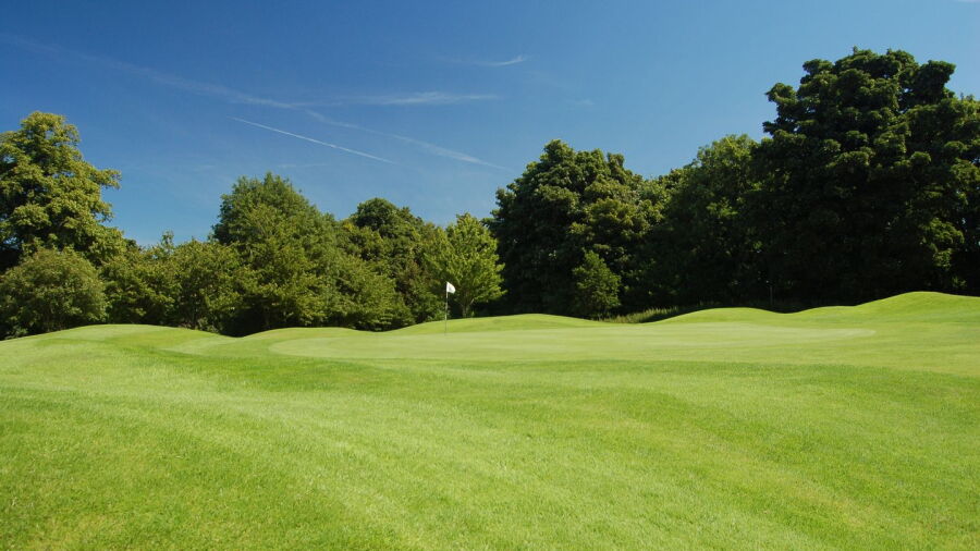 Royal Musselburgh GC
