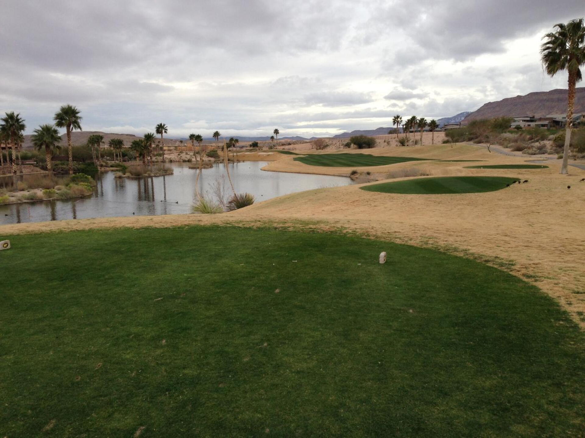 (Photo submitted by golfsuLLy on 02/17/2017)
