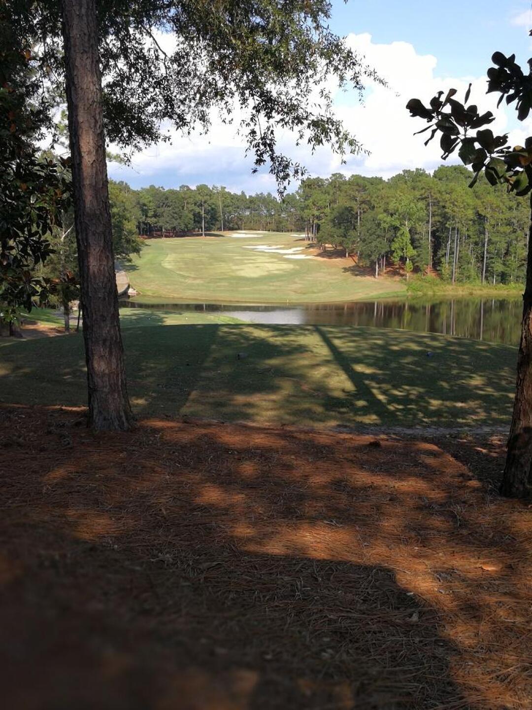 (Photo submitted by Blacmacc on 09/23/2017)