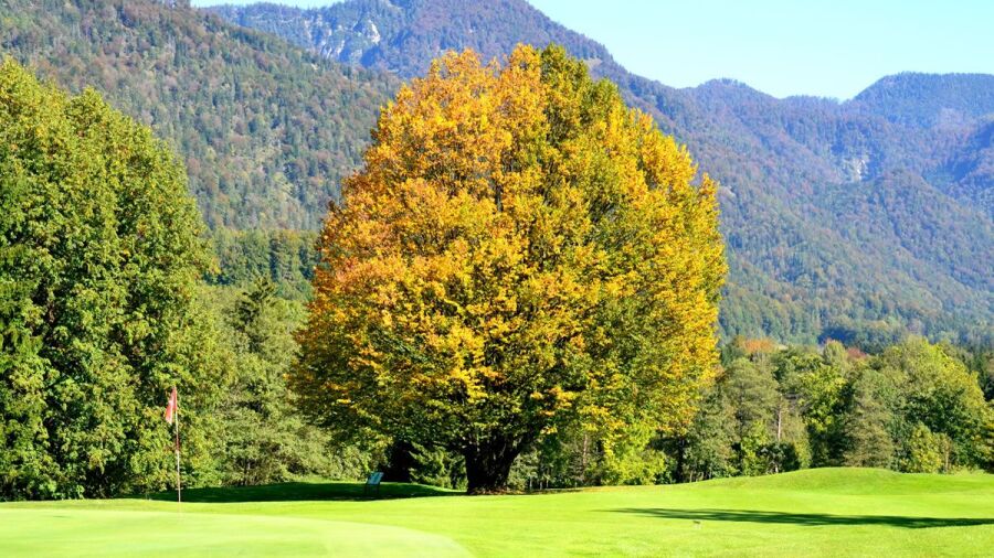 Salzkammergut GC