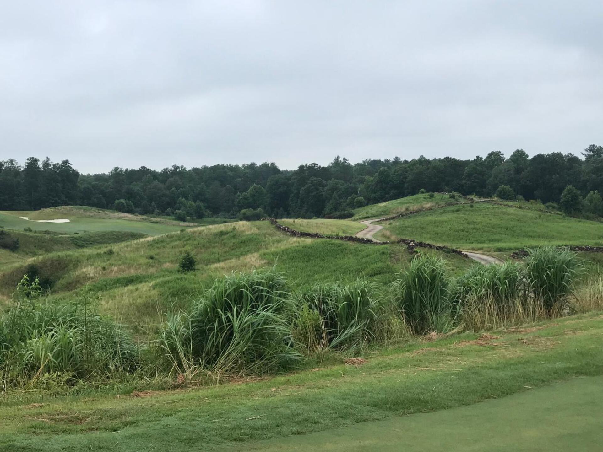 (Photo submitted by WJicvoXMhjXitR3ga5HN on 07/06/2019)