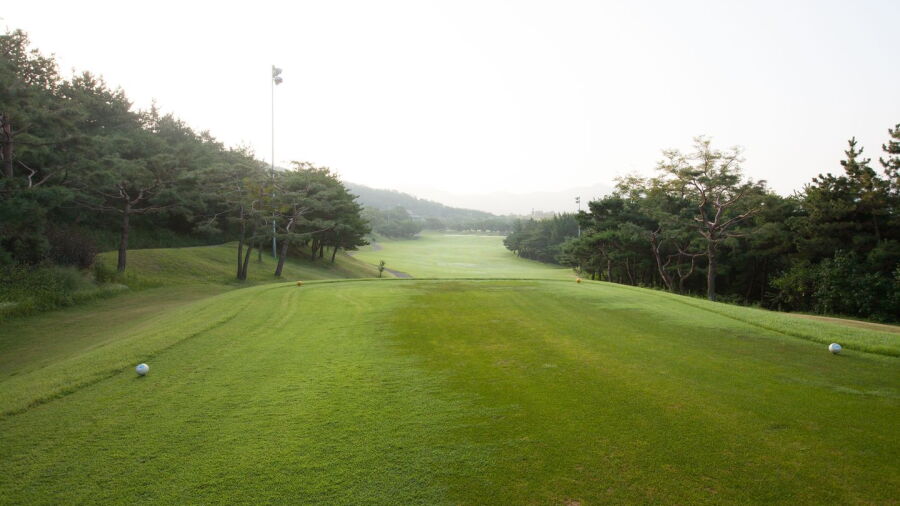 Palmy Hills CC - South: #9