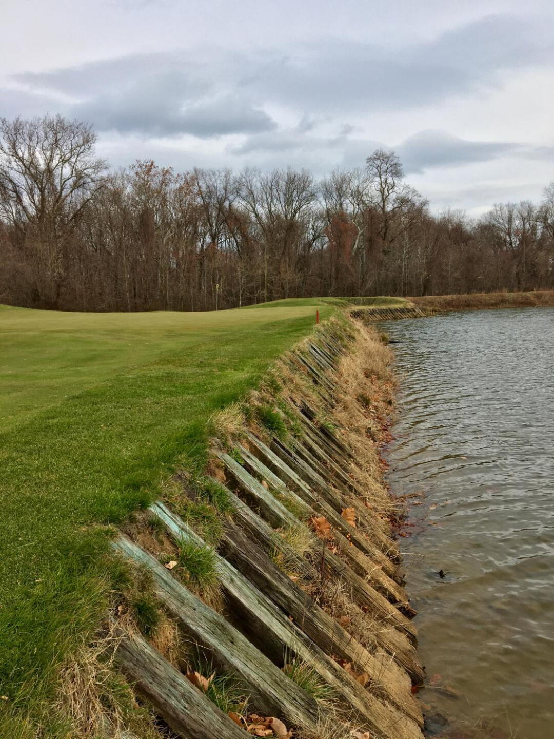 Par-3 12th hole (Photo submitted by BrandonWebb on 12/05/2019)