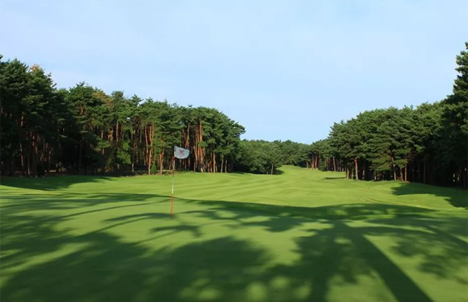 Shiun GC - Iitoyo: #10