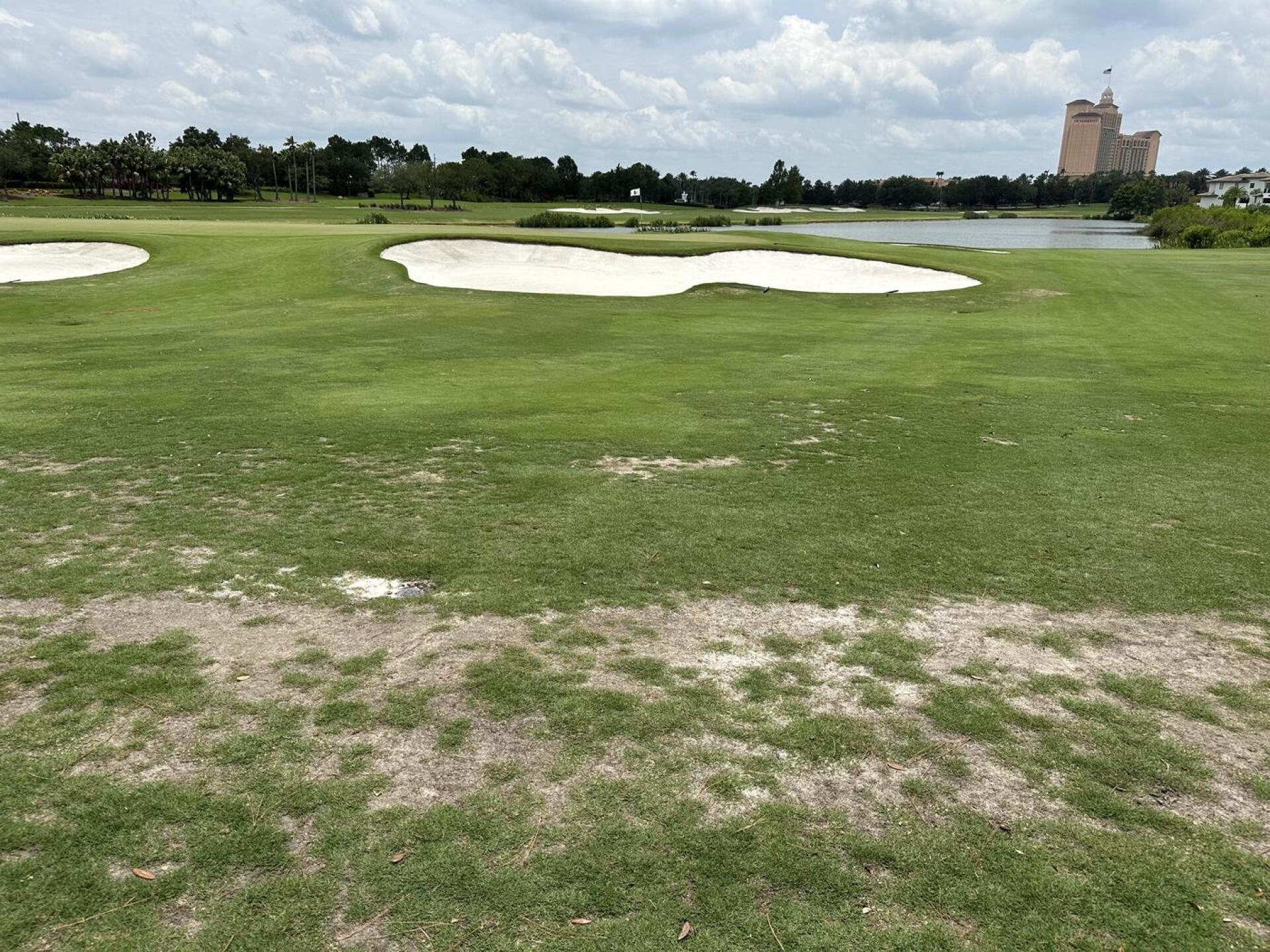 (Photo submitted by u314163808951 on 06/17/2023)