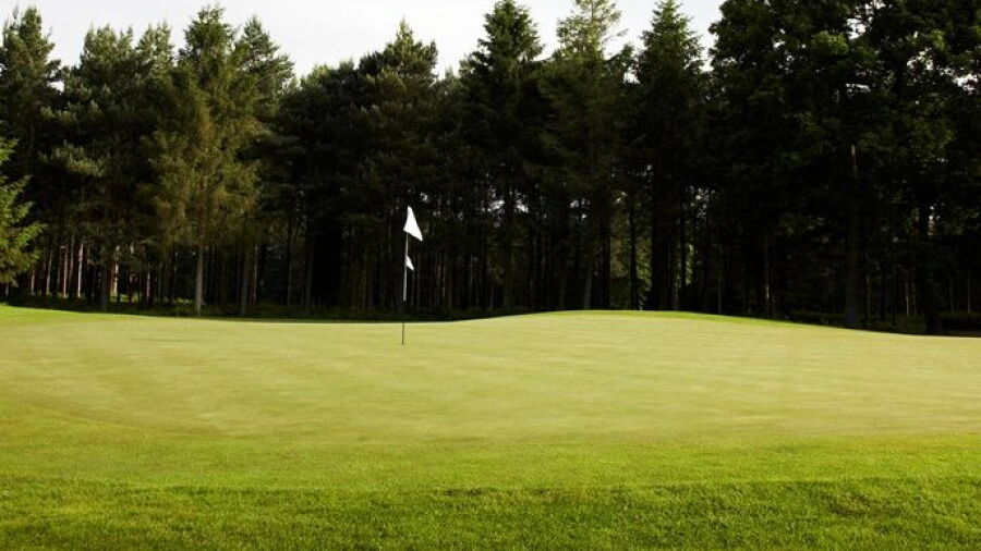 Woburn GCC - Marquess': #10