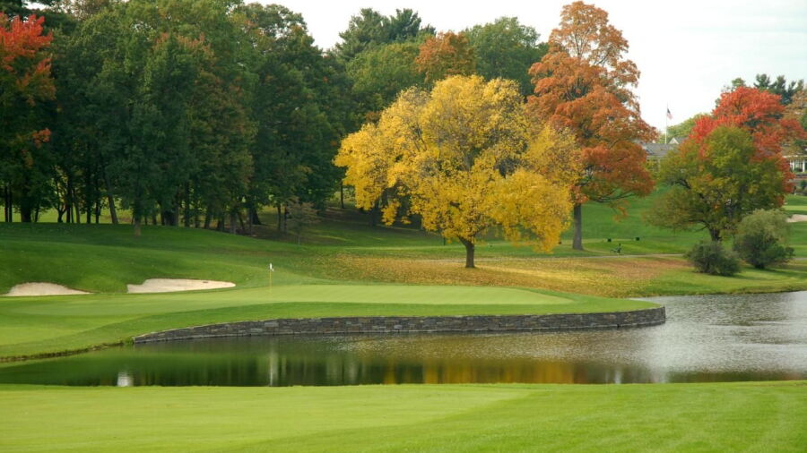 Albany CC