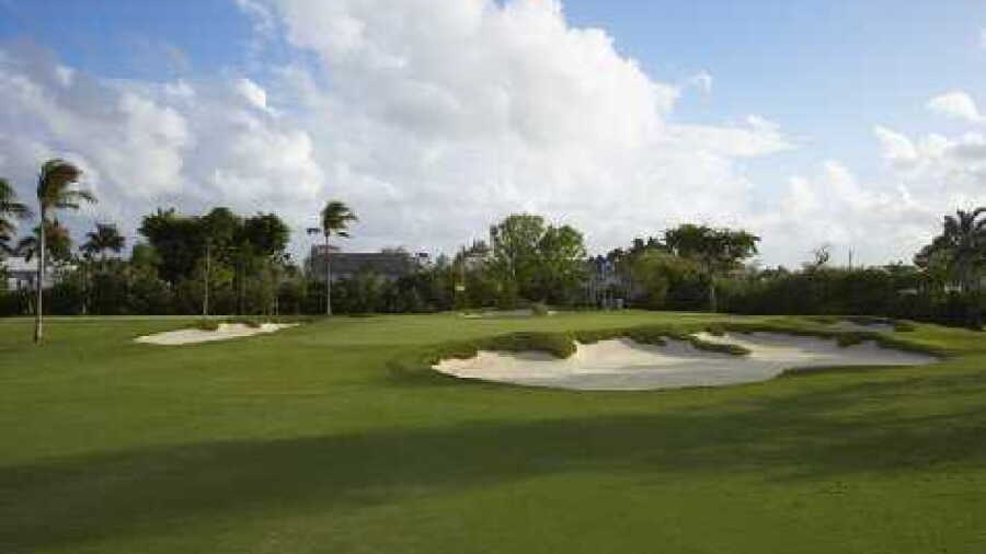 Pine Tree GC